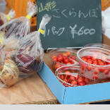 one day shop展示商品