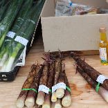 one day shop展示商品