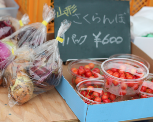 アドグラフィックから提案用ワンディショップサンプル画像