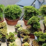 one day shopの展示商品